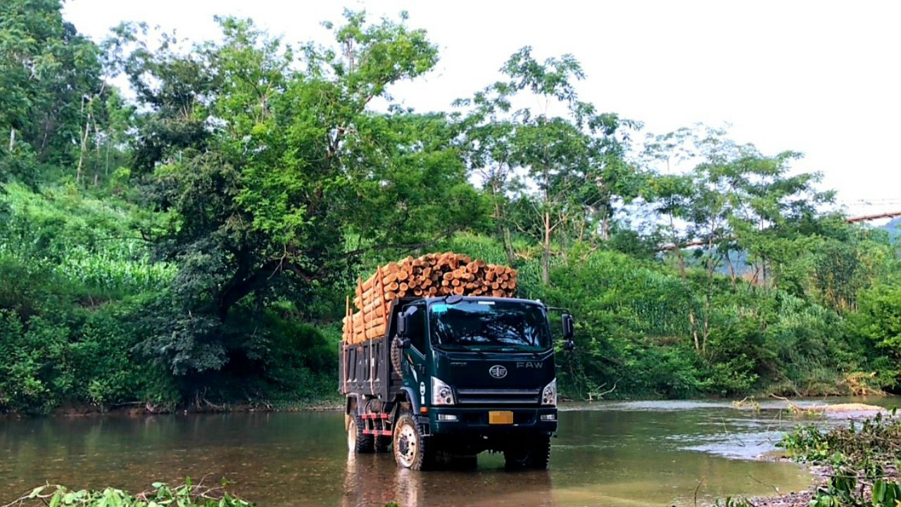 Chiến Thắng 7t7 2 cầu dầu chở gỗ trong rừng Chiến Thắng 7t7 2 cầu dầu chở gỗ trong rừng