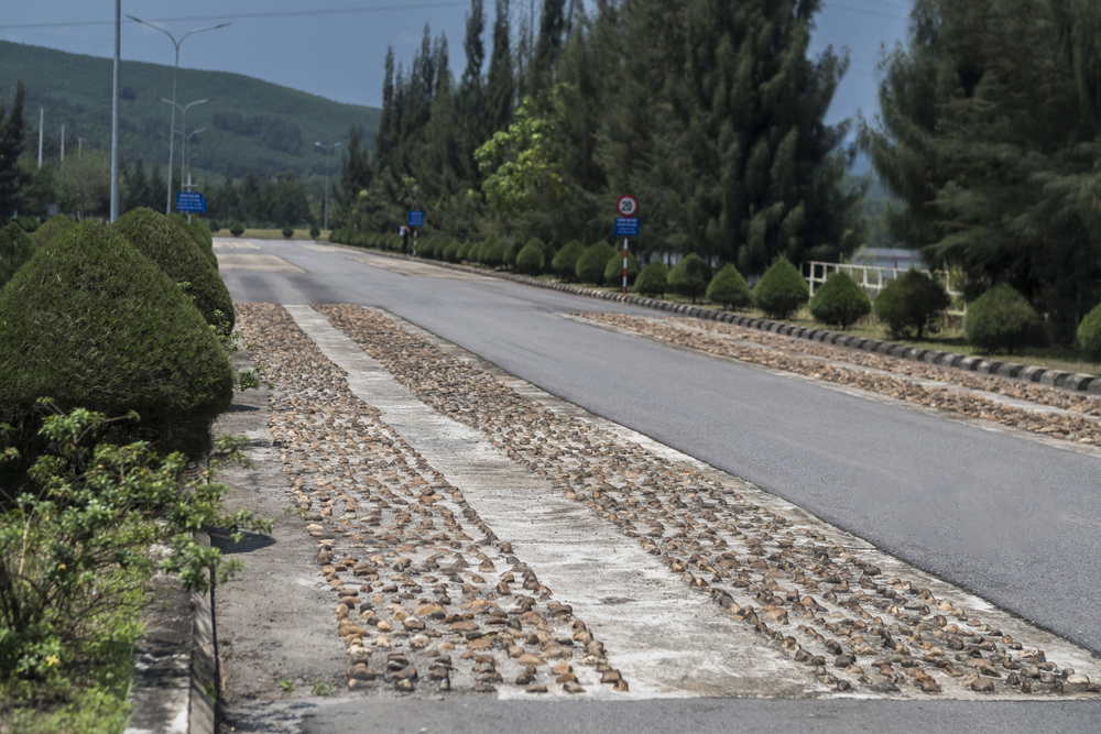 Ngày nay đường thử xe tải đã được chú trọng hơn mang đến các sản phẩm chất lượng hơn