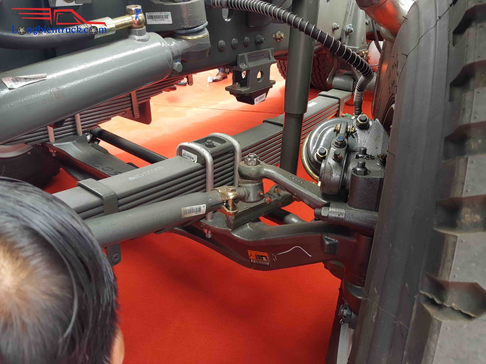 Nhíp trước 11 lá