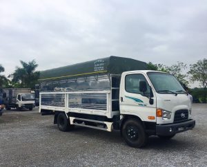 Tất Tần Tật Về Xe Tải 8 Tấn: Cẩm Nang Lựa Chọn Toàn Diện