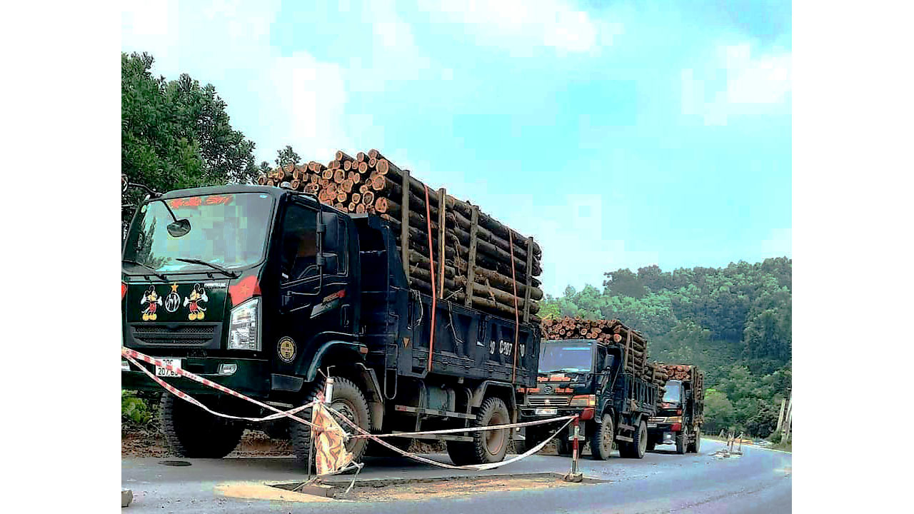 Chiến Thắng 6.8 tấn 2 cầu láp chở gỗ