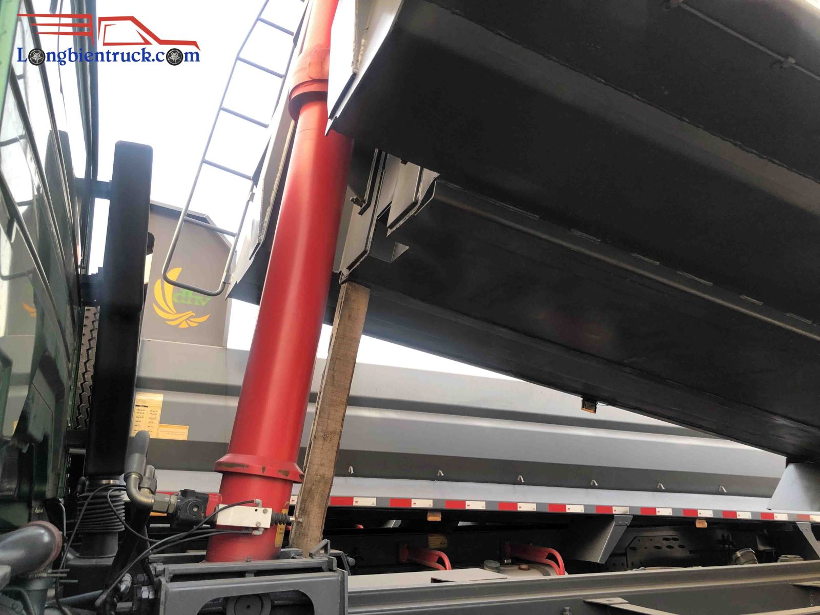 Ben đầu to và chắc chắn