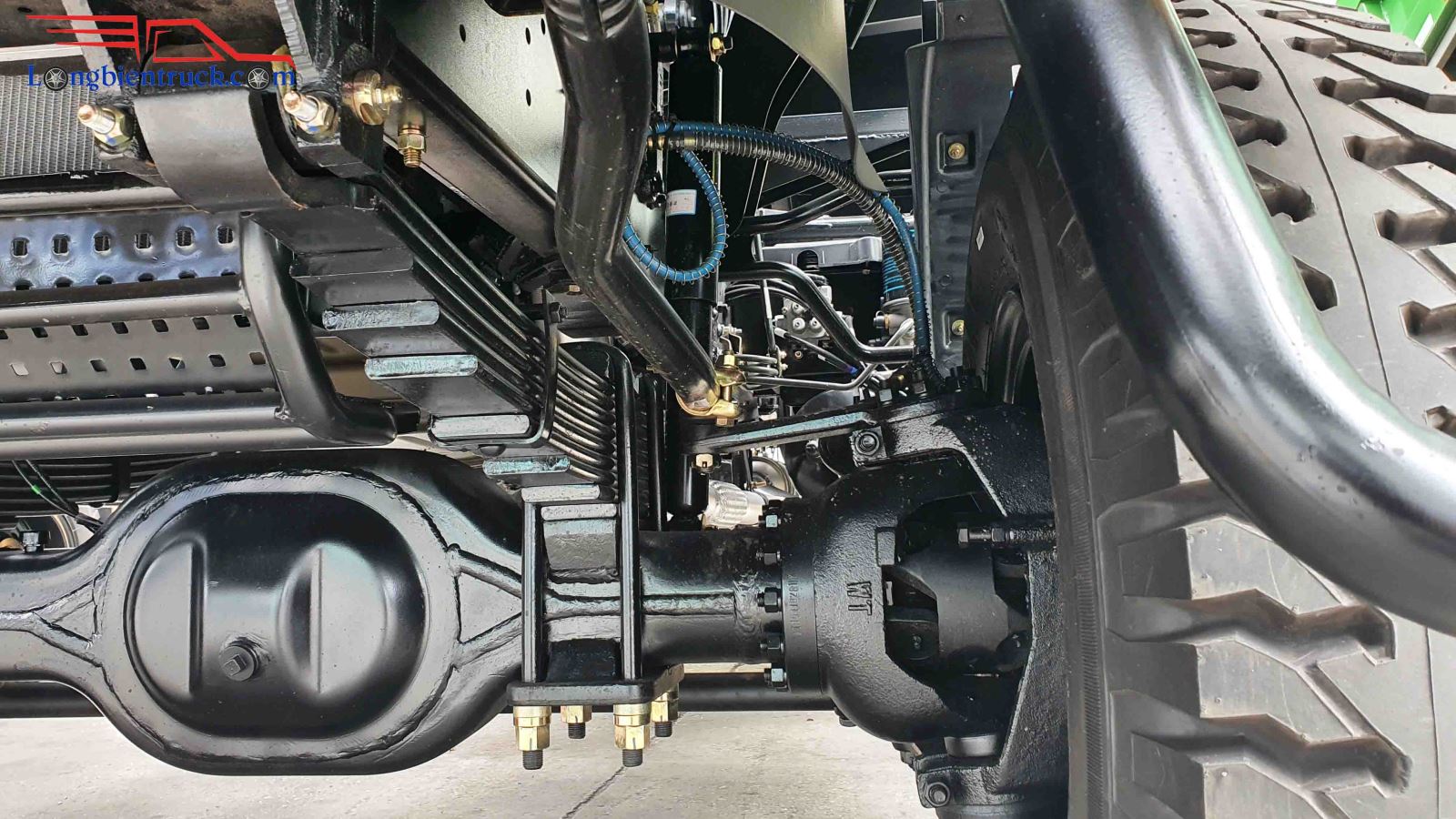 Càng cua cực to và khỏe