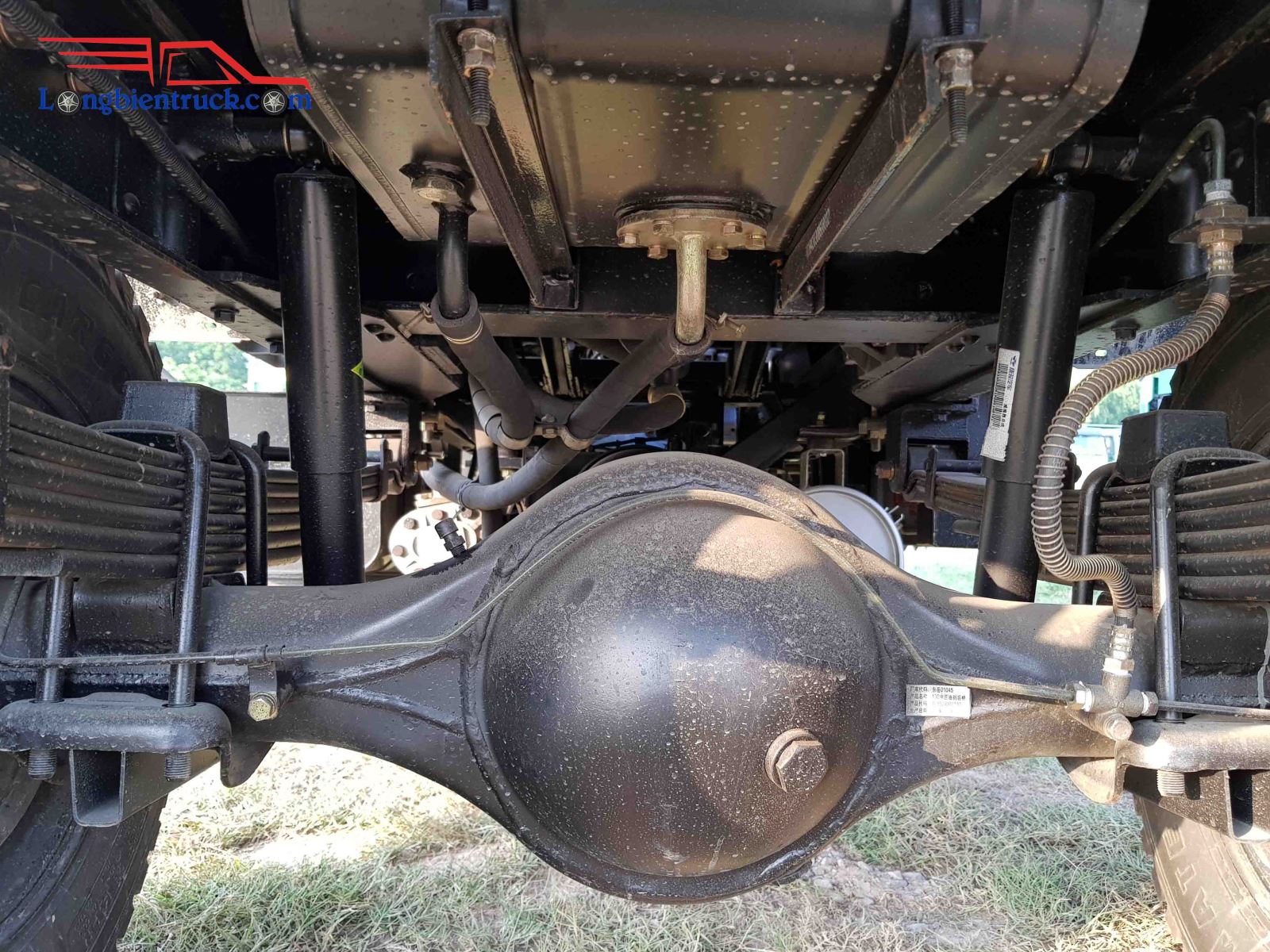 Tổng thể cầu sau Tổng thể cầu sau